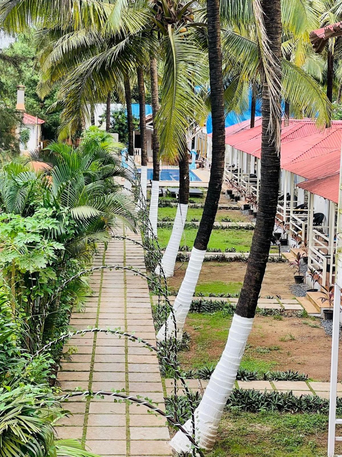 Arabian Sea Beach Resort モージム エクステリア 写真